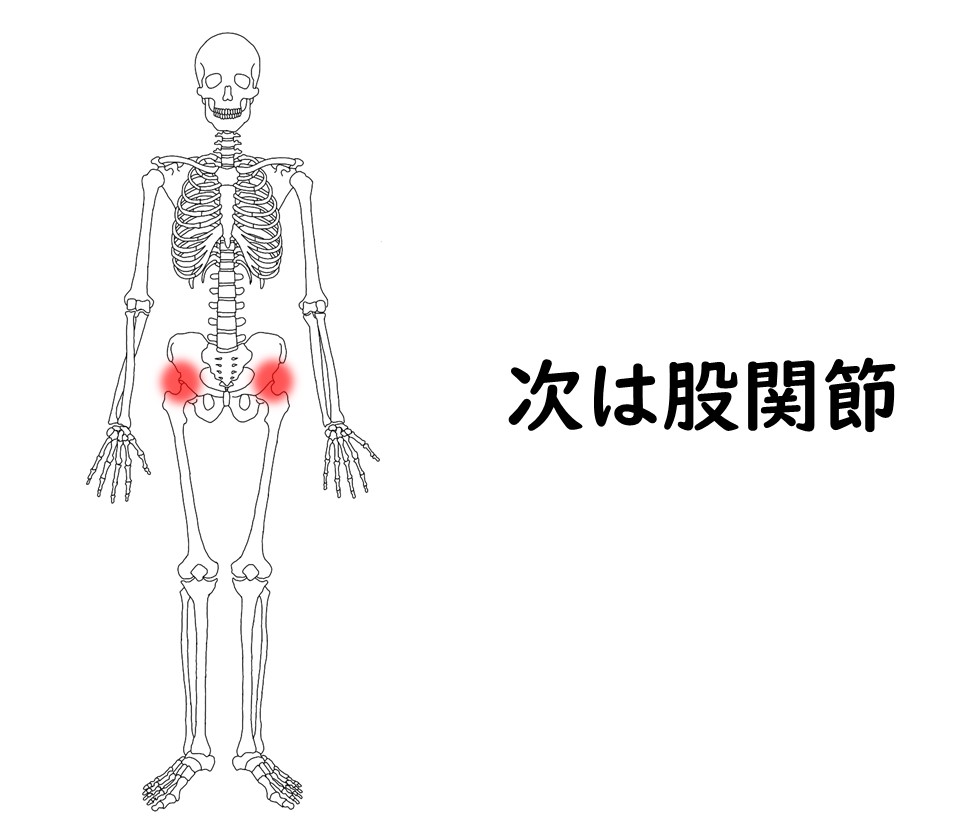 成長期に特有の痛み・骨端症では、股関節にも起こります
