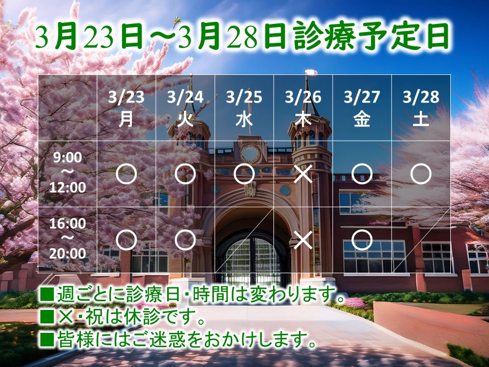 3月23日-3月28日 3月23日-3月28日