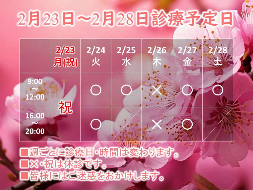 2月23日-2月28日