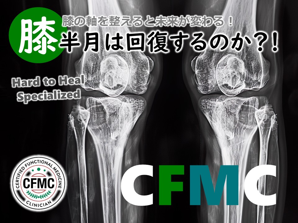 膝半月は回復するのか？