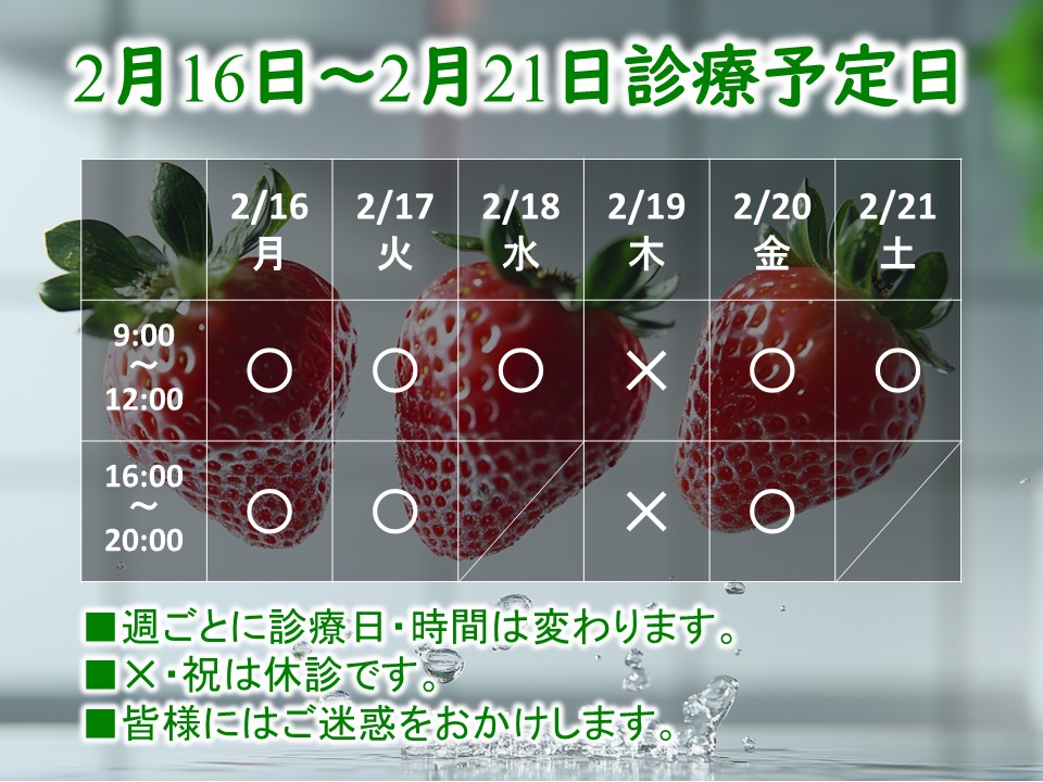 2月16日-2月21日
