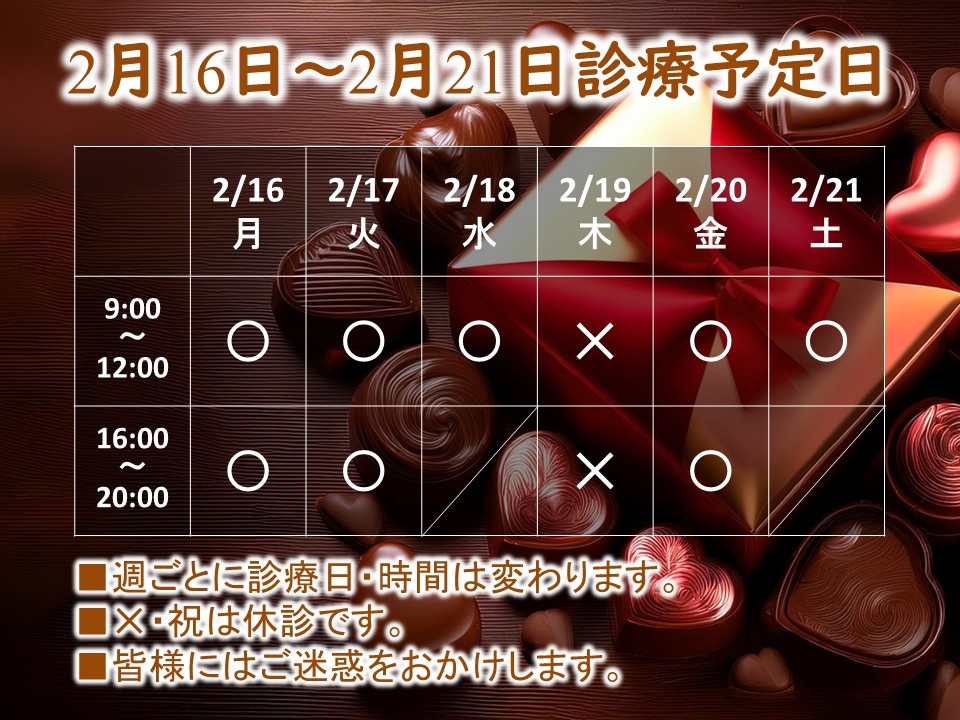 2月16日-2月21日 2月16日-2月21日